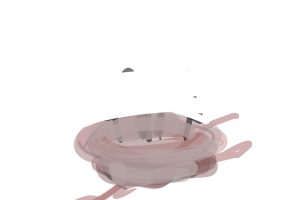 Empty Nest Syndrome01