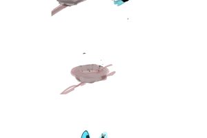 Empty Nest Syndrome02